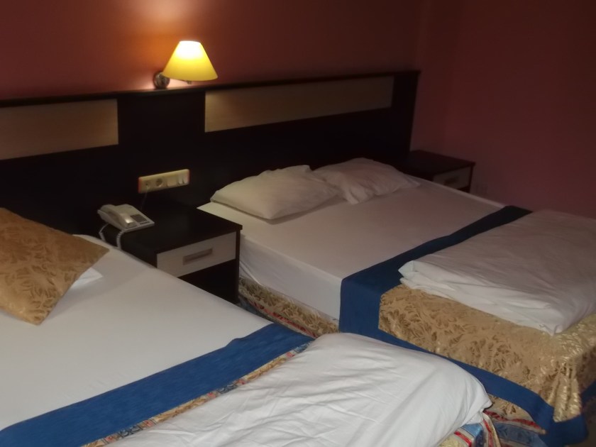 Fujitsu_Turk1_ 036.jpg