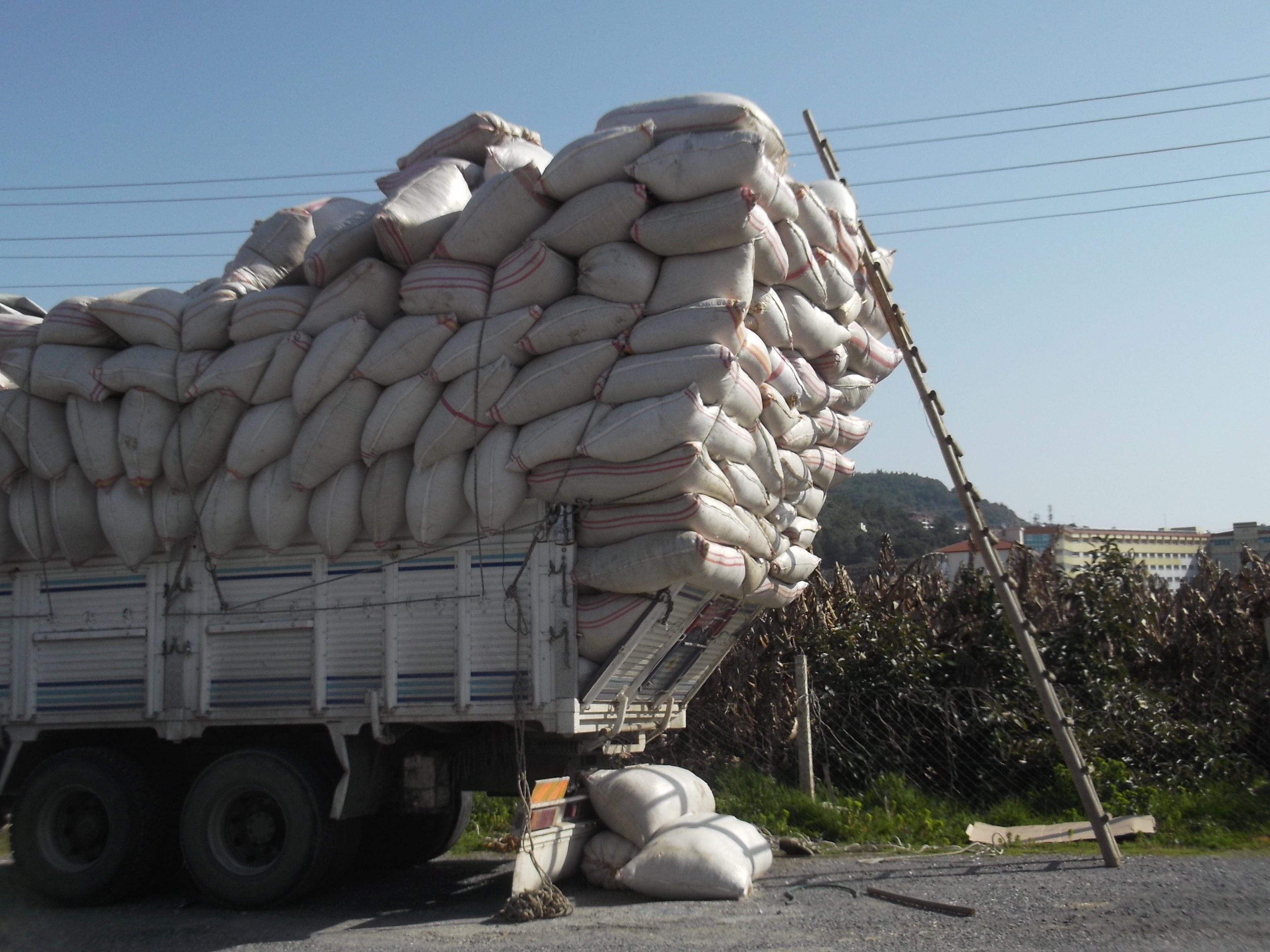 Fujitsu_Turk1_ 090.jpg