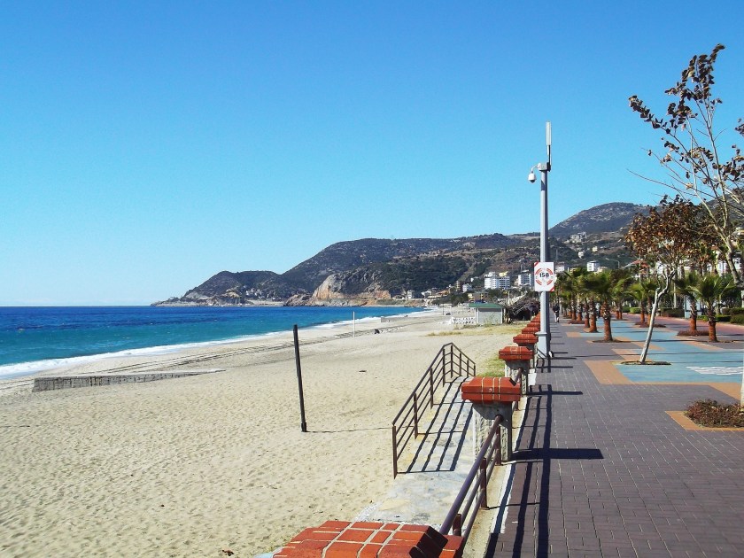 Fujitsu_Turk3_ 174.jpg