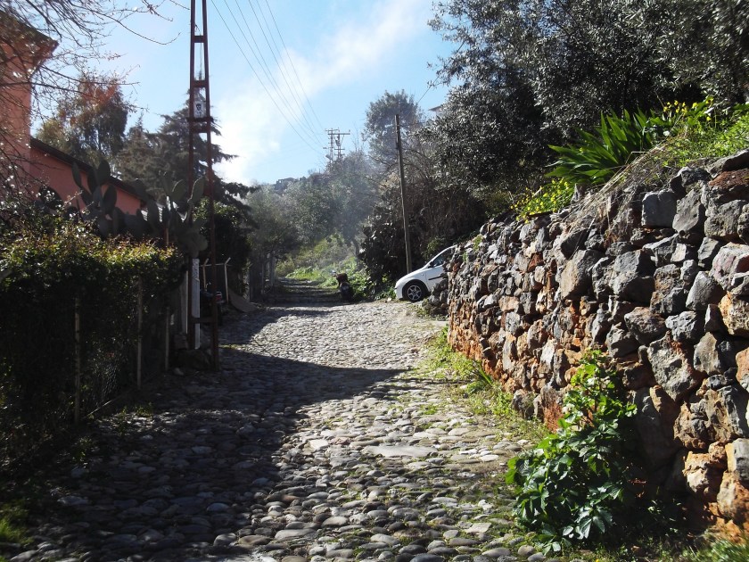 Fujitsu_Turk3_ 235.jpg