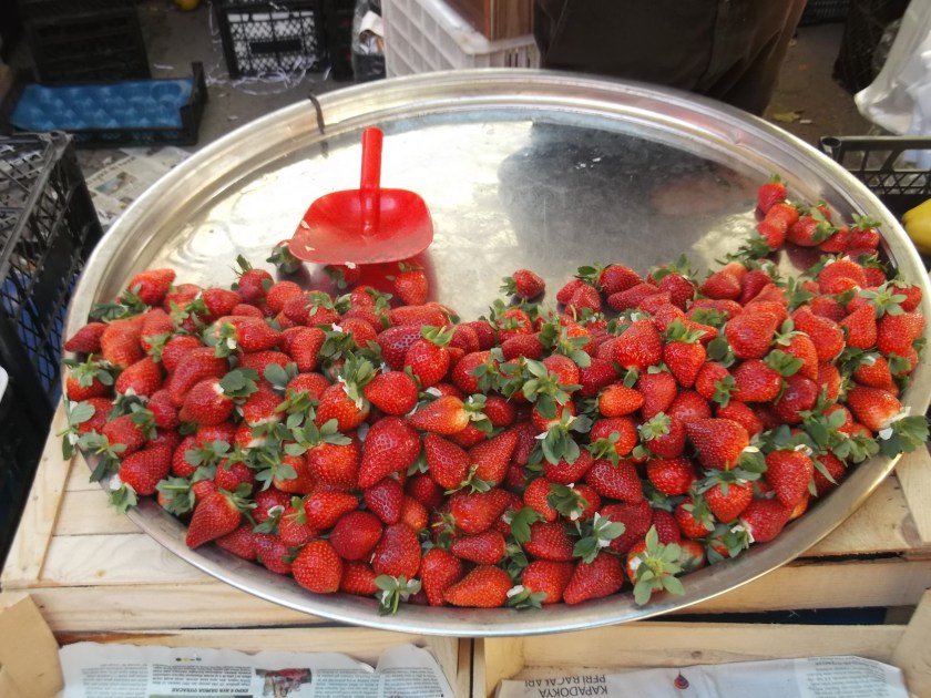 Fujitsu_Turk3_ 324.jpg