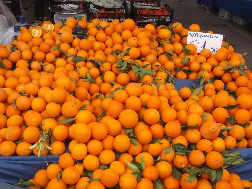 Fujitsu_Turk3_ 326.jpg