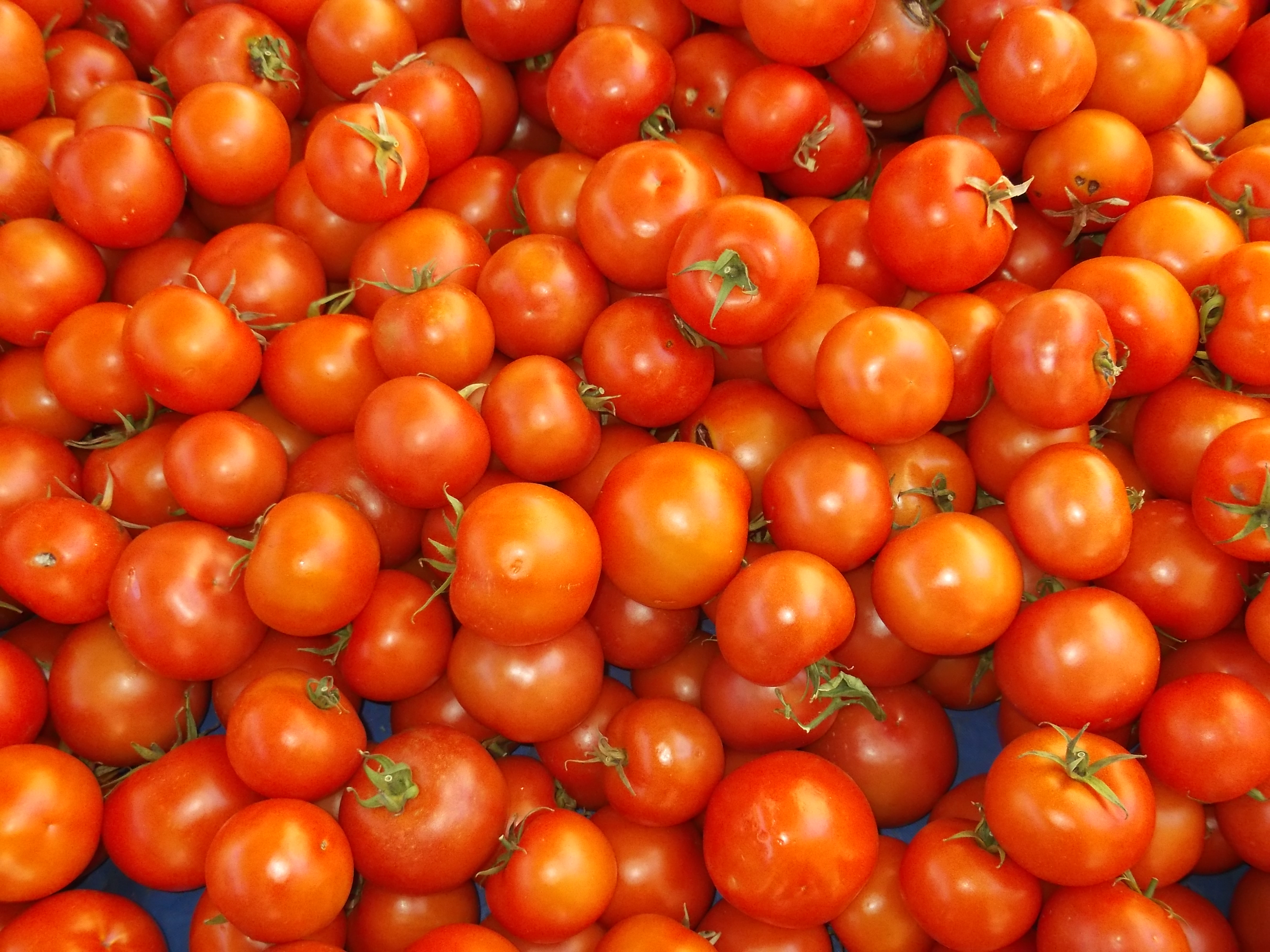 Fujitsu_Turk3_ 328.jpg