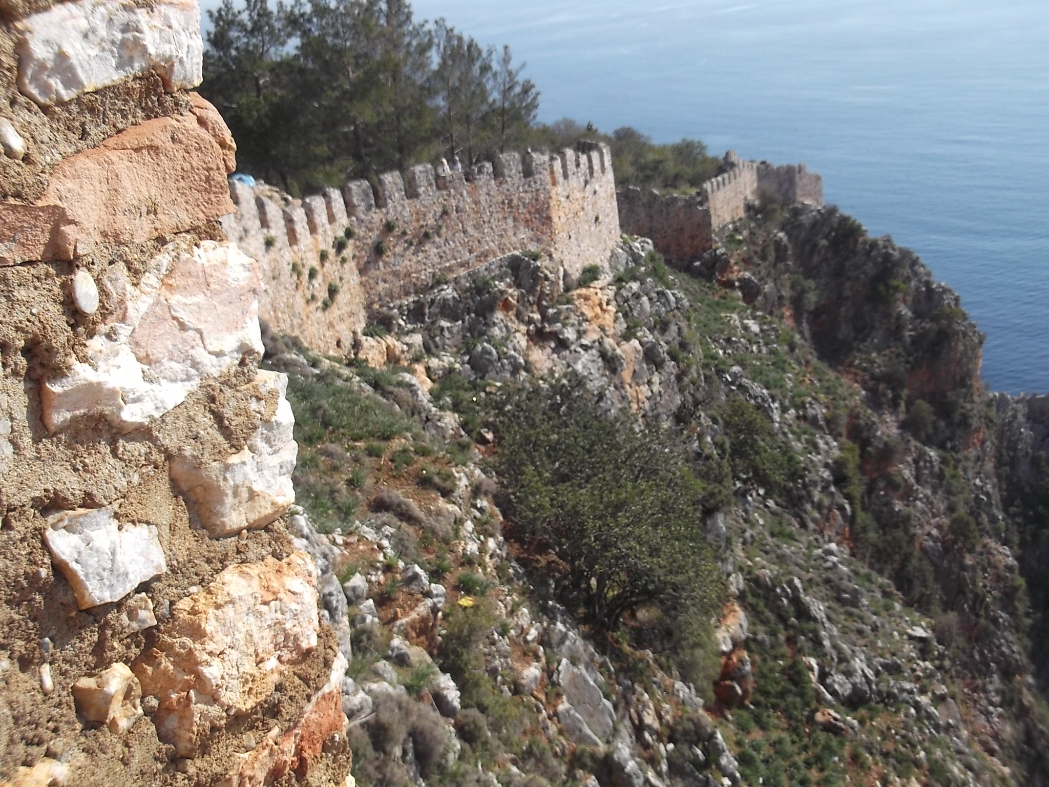 Fujitsu_Turk5_ 059.jpg