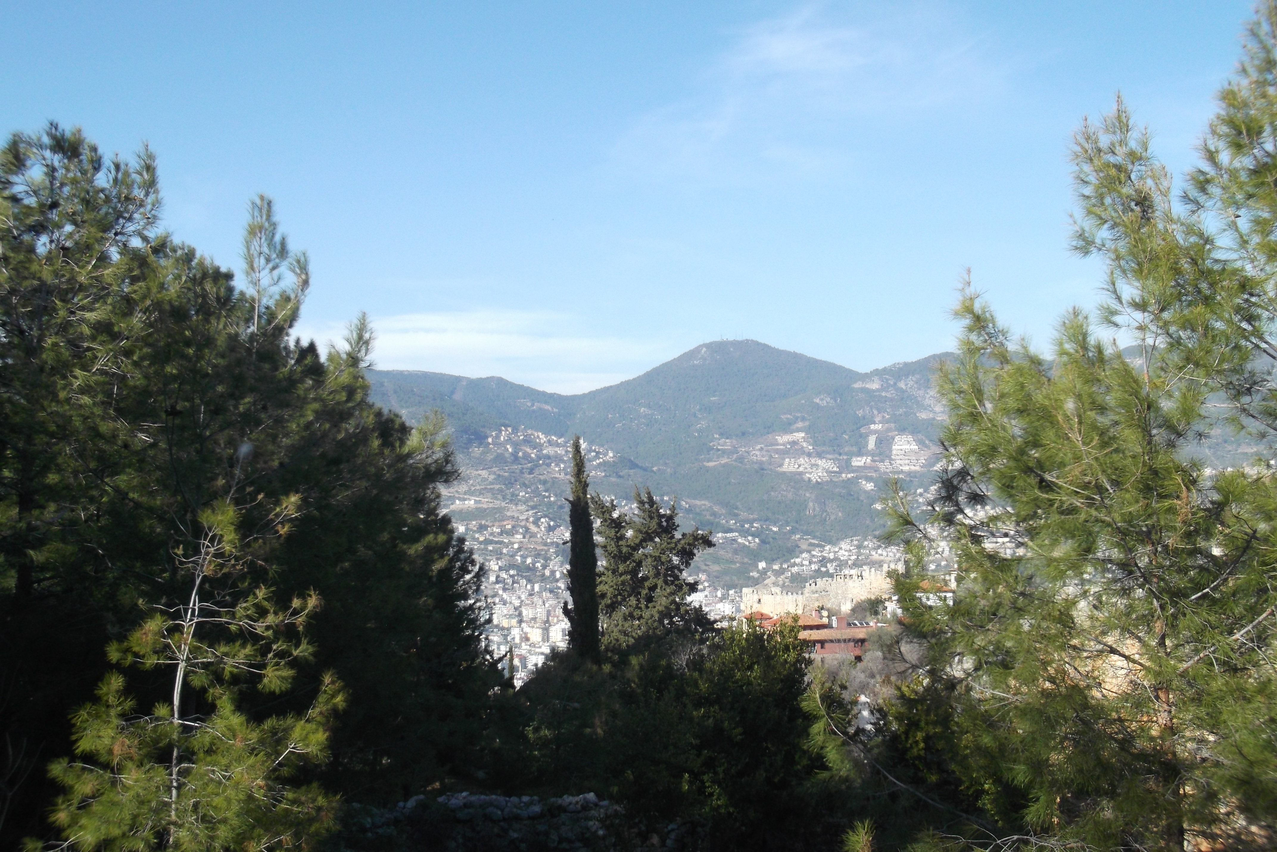 Fujitsu_Turk5_ 096.jpg