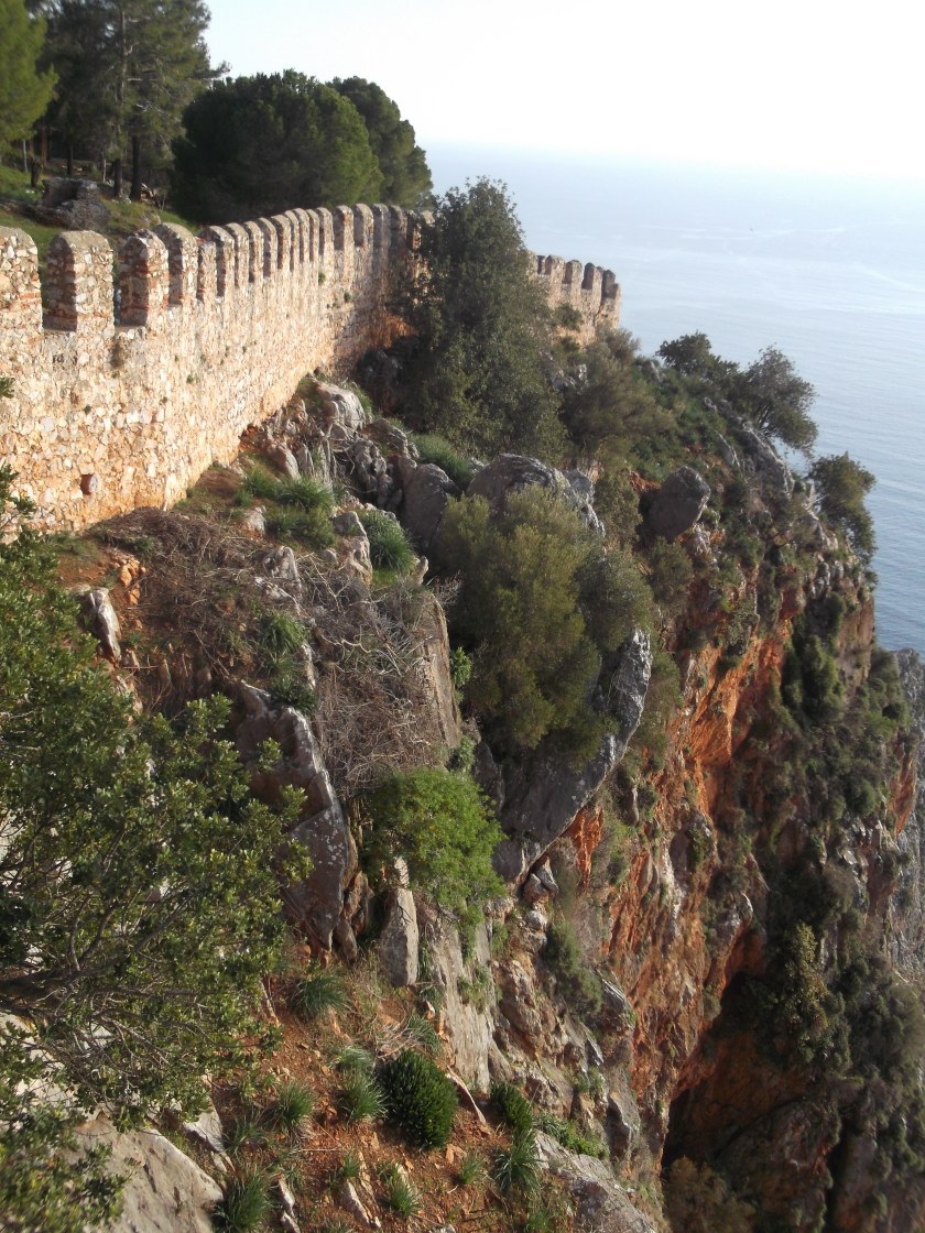 Fujitsu_Turk5_ 177.jpg