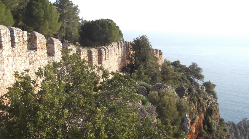 Fujitsu_Turk5_ 180.jpg