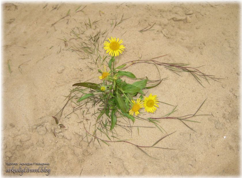 День_Рыбака_9сент17-123+Blog