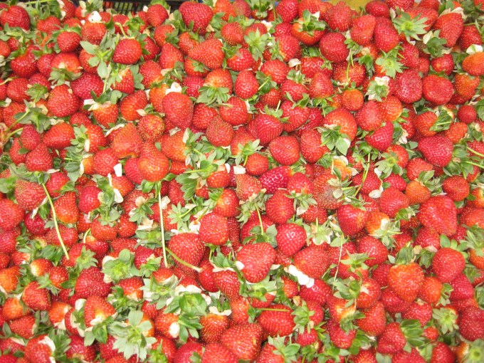 02-16-2018_IMG_2919w