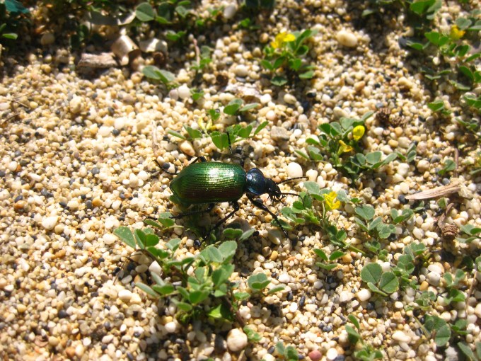 03-01-2018_IMG_3141w